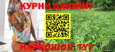 стаф Гусев