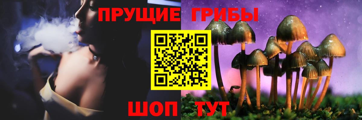 Кохма  Галлюциногенные грибы Psilocybe  Вход с VPN 